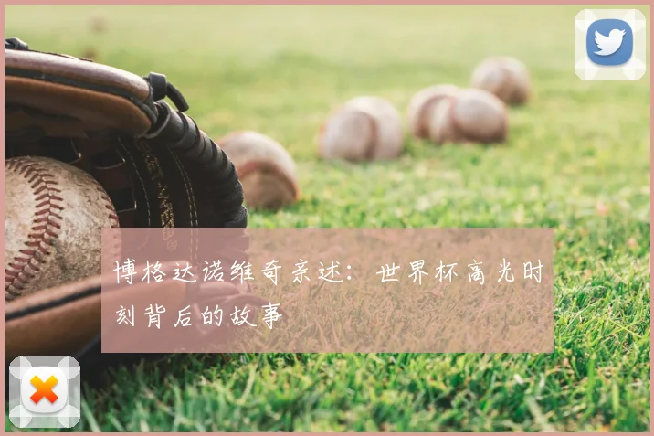 博格达诺维奇亲述：世界杯高光时刻背后的故事