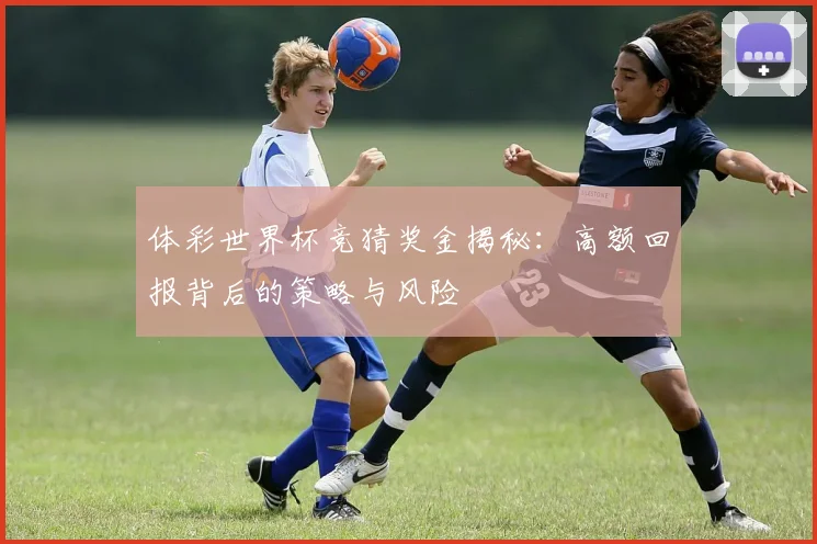 体彩世界杯竞猜奖金揭秘:高额回报背后的策略与风险