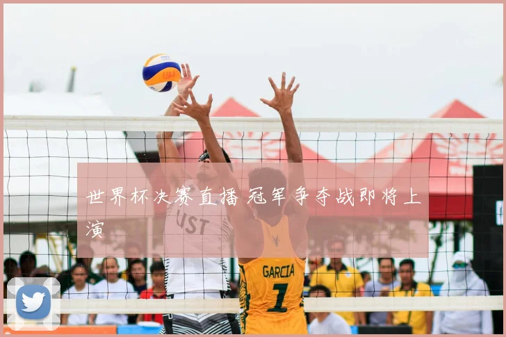 世界杯决赛直播 冠军争夺战即将上演
