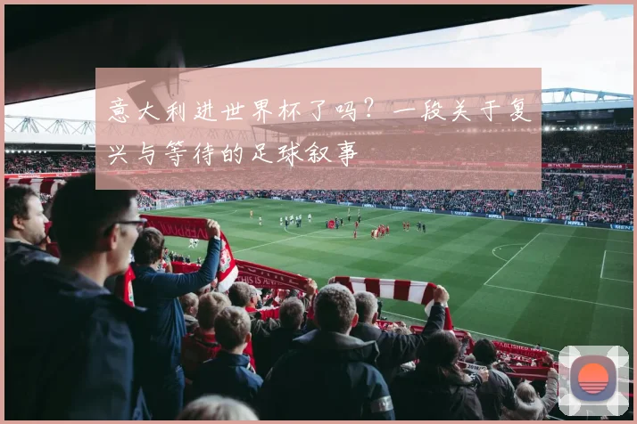 意大利进世界杯了吗？一段关于复兴与等待的足球叙事