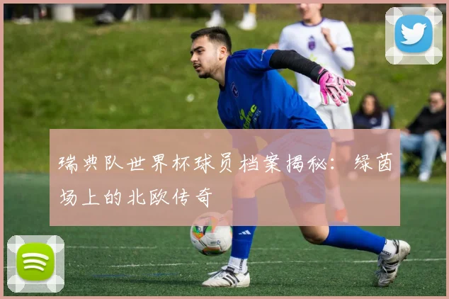 瑞典队世界杯球员档案揭秘：绿茵场上的北欧传奇