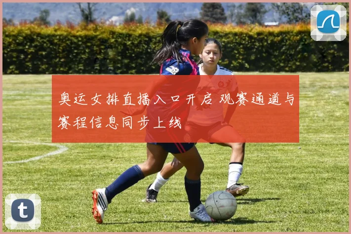 奥运女排直播入口开启 观赛通道与赛程信息同步上线