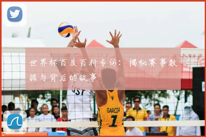 世界杯百度百科专访：揭秘赛事数据与背后的故事