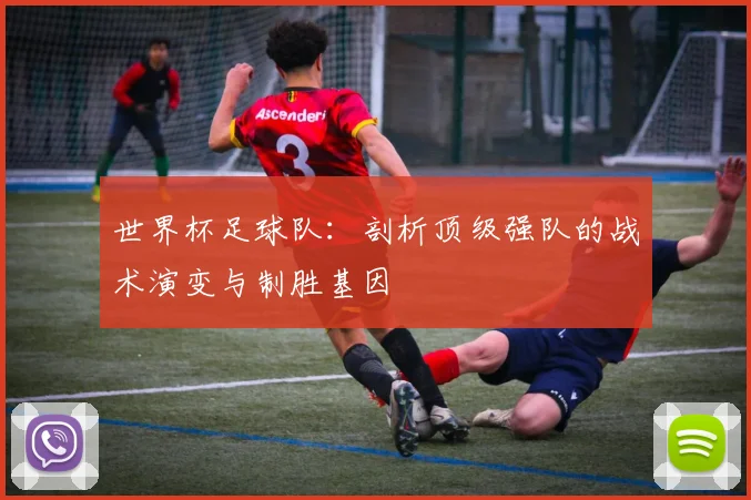 世界杯足球队:剖析顶级强队的战术演变与制胜基因