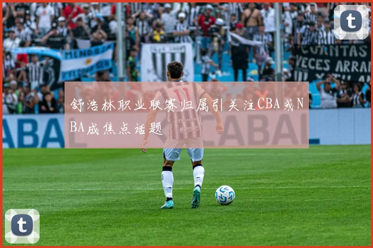 舒浩林职业联赛归属引关注CBA或NBA成焦点话题