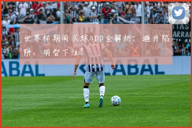 世界杯期间买球app全解析：避开陷阱，明智下注！