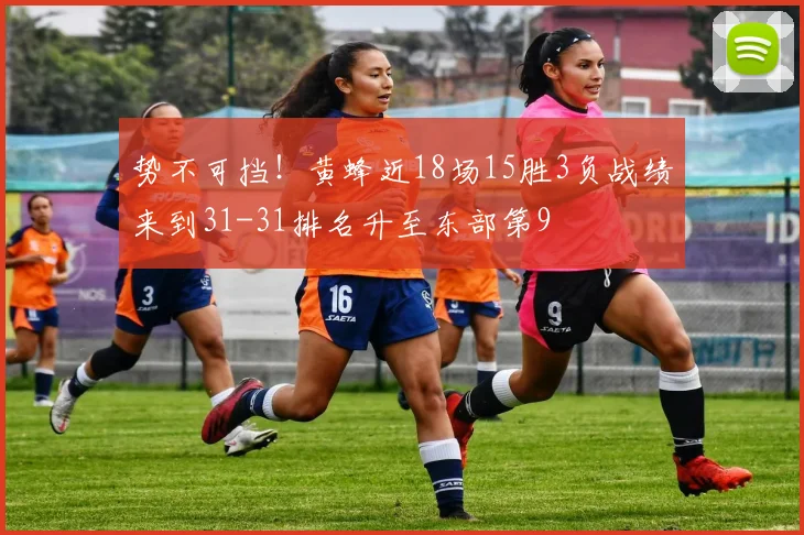 势不可挡！黄蜂近18场15胜3负战绩来到31-31排名升至东部第9