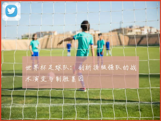 世界杯足球队：剖析顶级强队的战术演变与制胜基因