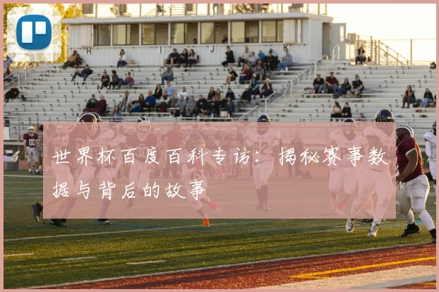 世界杯百度百科专访：揭秘赛事数据与背后的故事